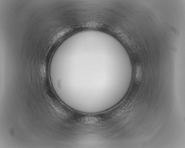 X0000115550636200911201801