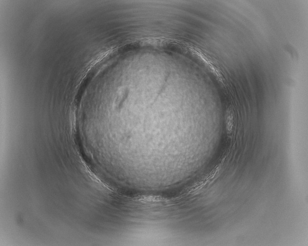 X0000115550637200911201801