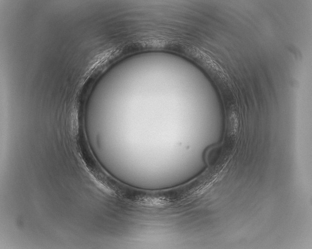 X0000115550638200911201801