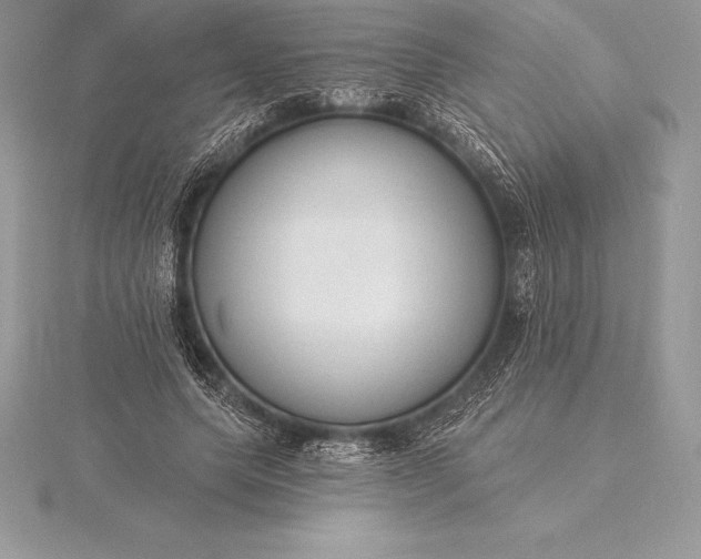 X0000115550639200911201801