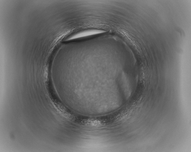 X0000115550640200911201801