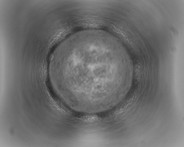 X0000115550642200911201801