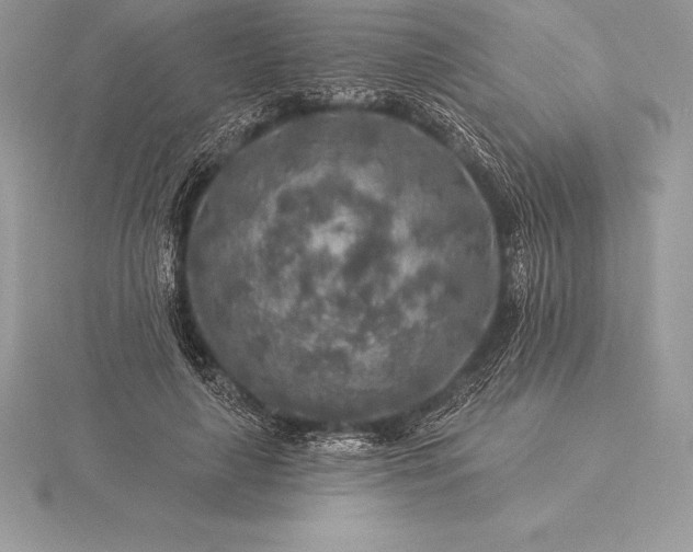 X0000115550643200911201801