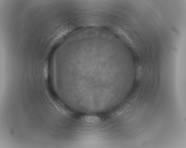 X0000115550644200911201801