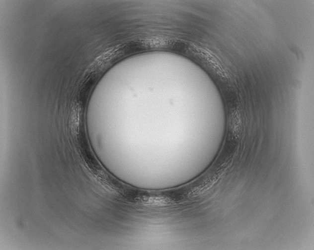 X0000115550645200911201801