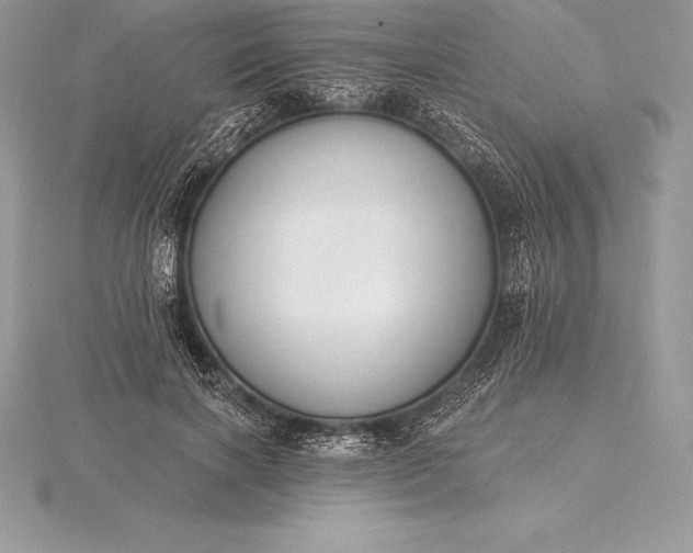 X0000115550646200911201801