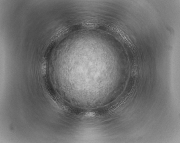 X0000115550647200911201801