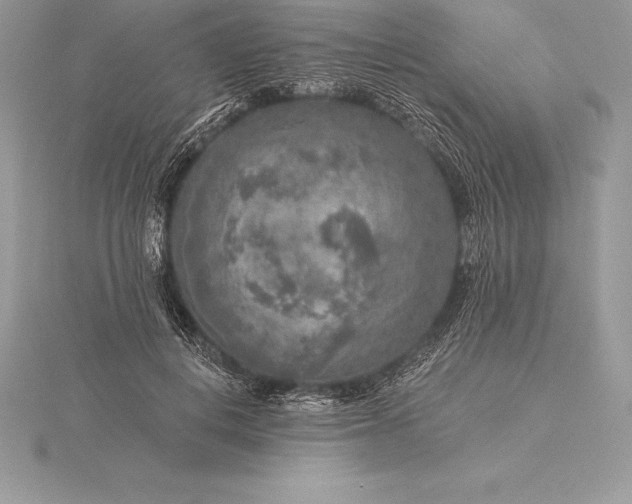 X0000115550648200911201801