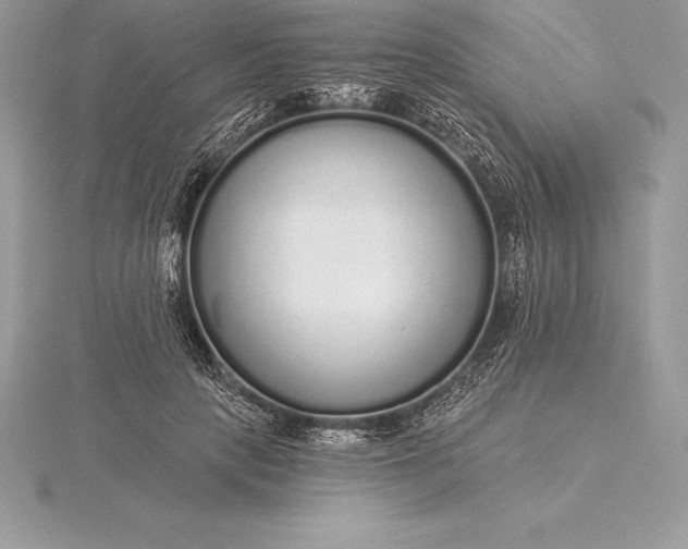 X0000115550649200911201801