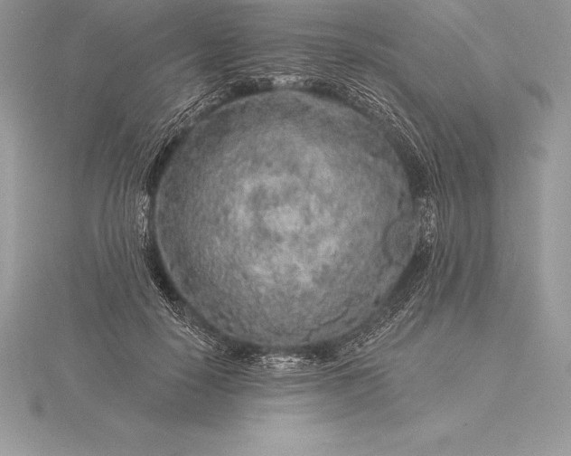 X0000115550650200911201801