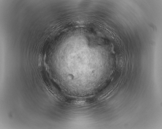 X0000115550651200911201801