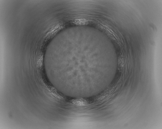 X0000115550652200911201801