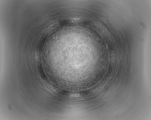 X0000115550653200911201802