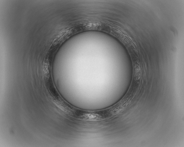 X0000115550654200911201802