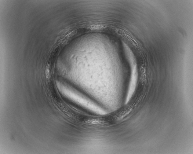 X0000115550655200911201802