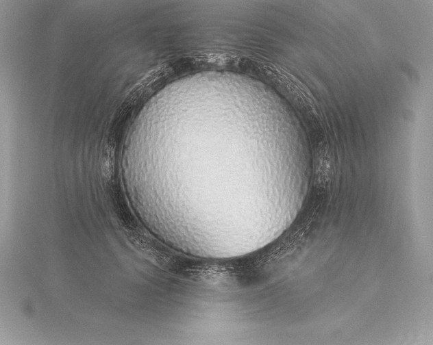 X0000115550656200911201802