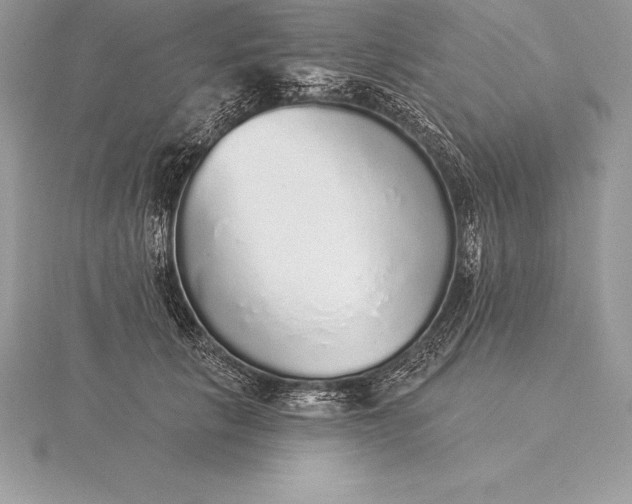 X0000115550657200911201802