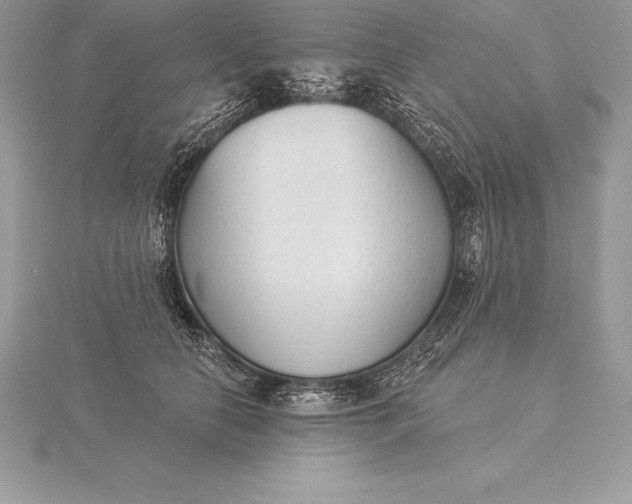 X0000115550658200911201802