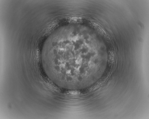 X0000115550659200911201802