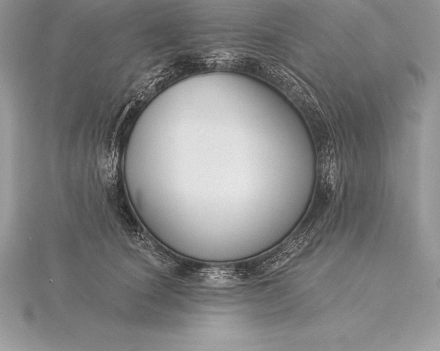 X0000115550660200911201802