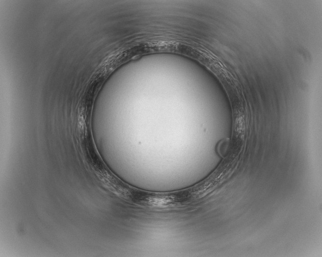 X0000115550662200911201802