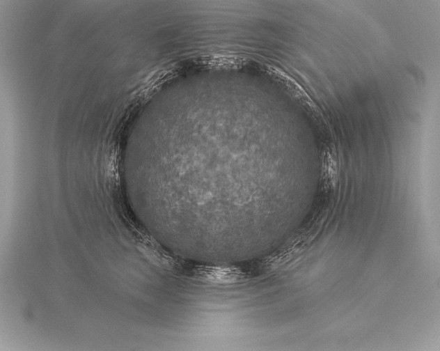 X0000115550663200911201802