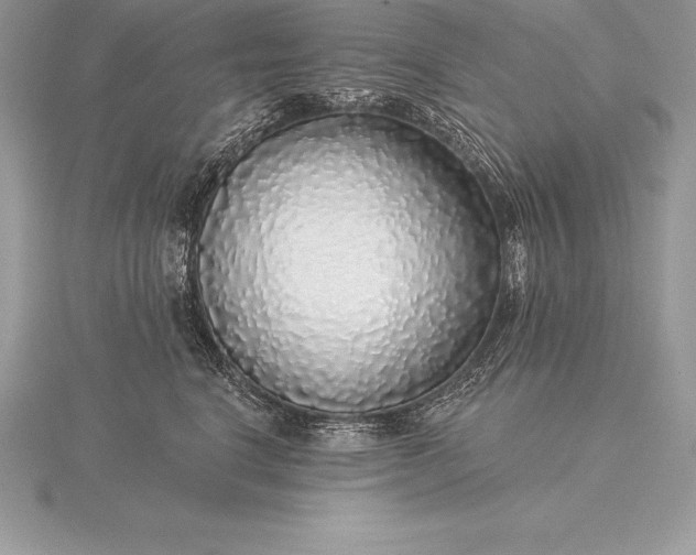 X0000115550664200911201802