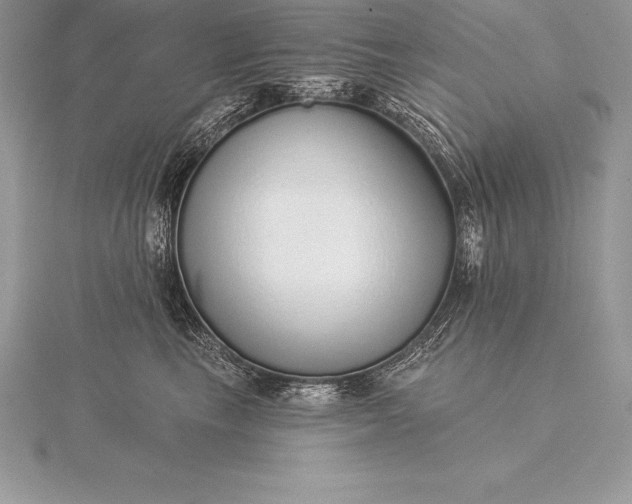 X0000115550665200911201802