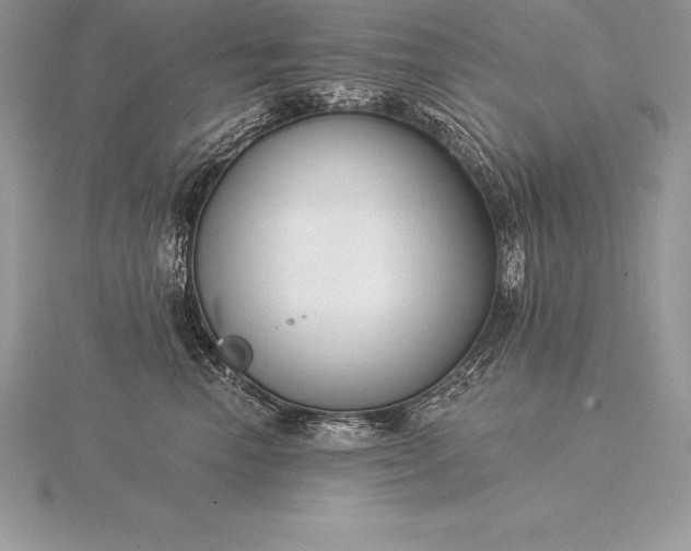 X0000115550666200911201802