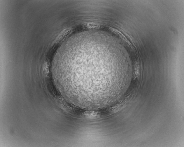 X0000115550667200911201802