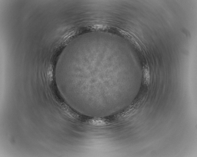 X0000115550668200911201802