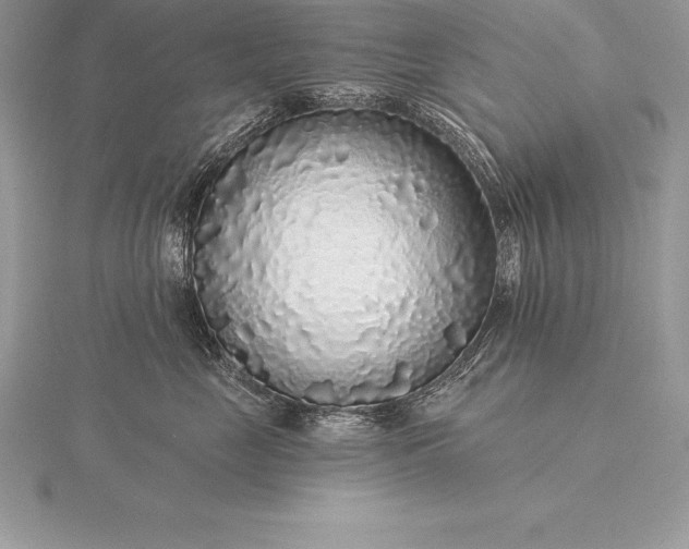 X0000115550669200911201802