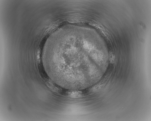 X0000115550670200911201802