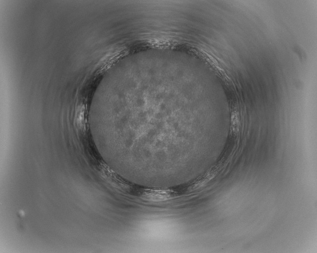 X0000115550671200911201802