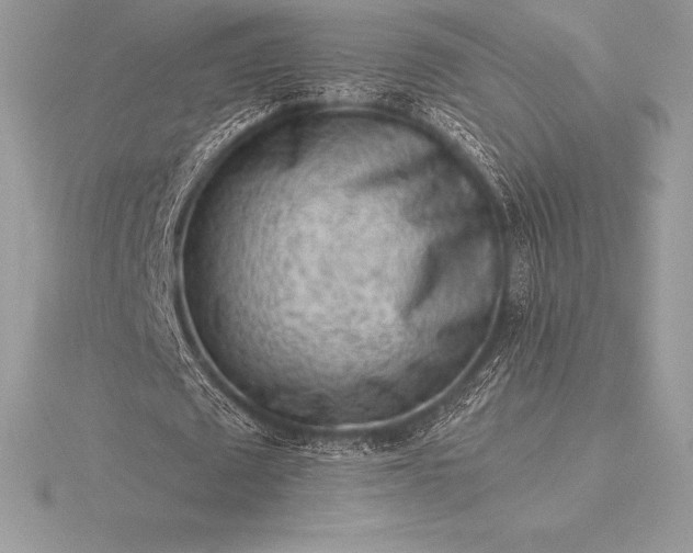 X0000115550673200911201801