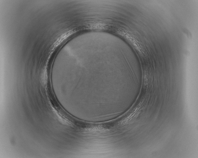 X0000115550674200911201801