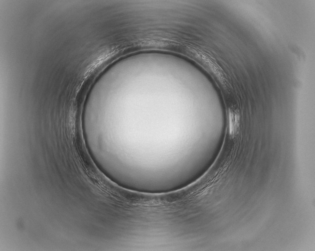 X0000115550675200911201801