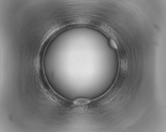 X0000115550676200911201801