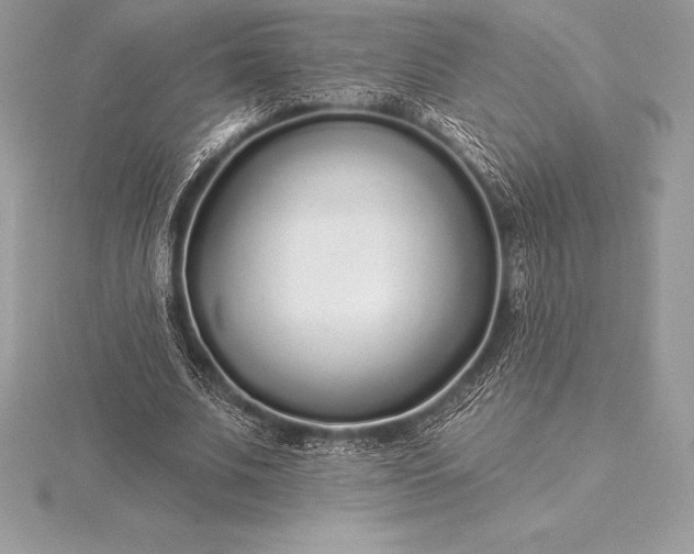 X0000115550679200911201801