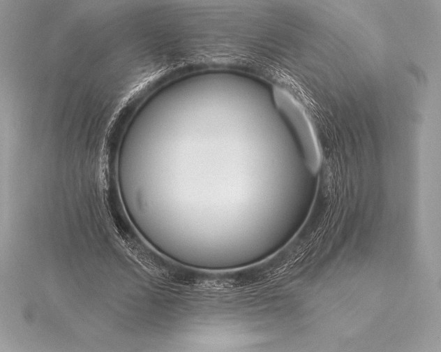 X0000115550680200911201801