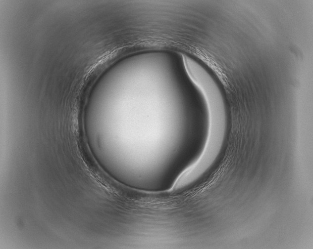 X0000115550681200911201801