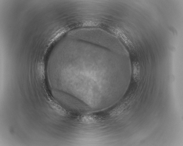 X0000115550684200911201801