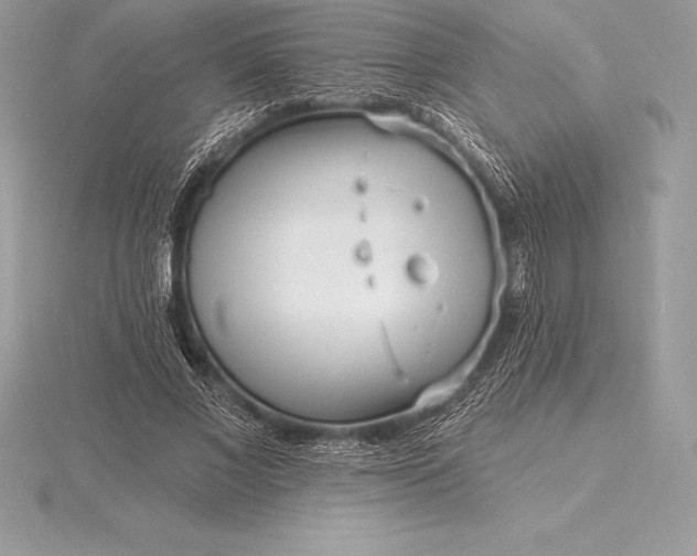 X0000115550685200911201801