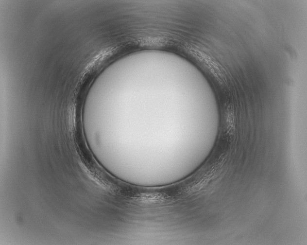 X0000115550686200911201801