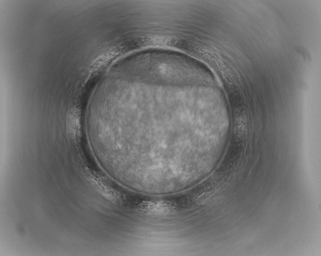 X0000115550688200911201801