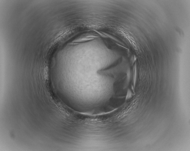 X0000115550689200911201801