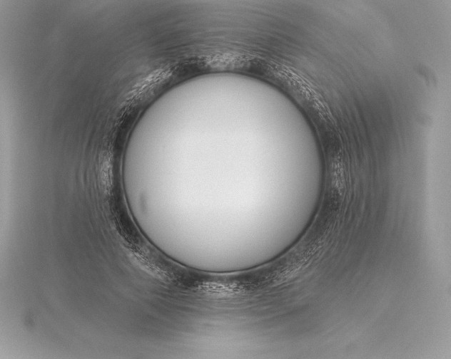 X0000115550690200911201801