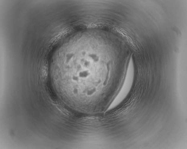 X0000115550691200911201801