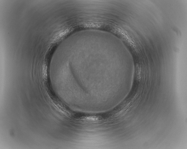 X0000115550692200911201801