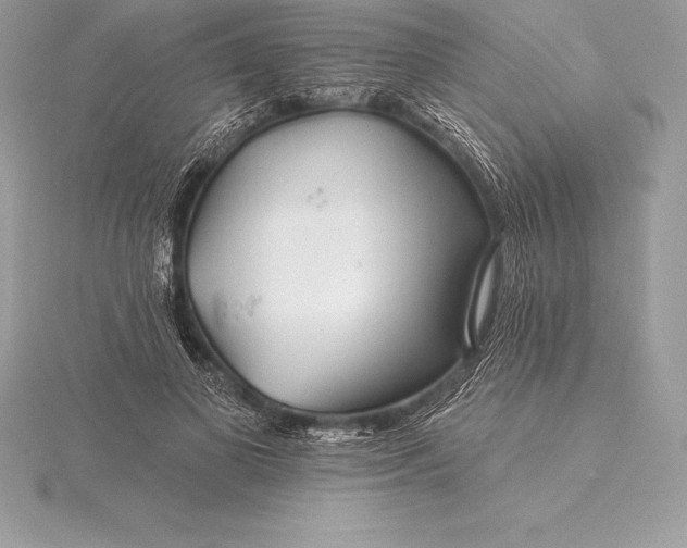 X0000115550693200911201801